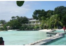 CIJ 파워 인텐시브 캠프 - 액티비티